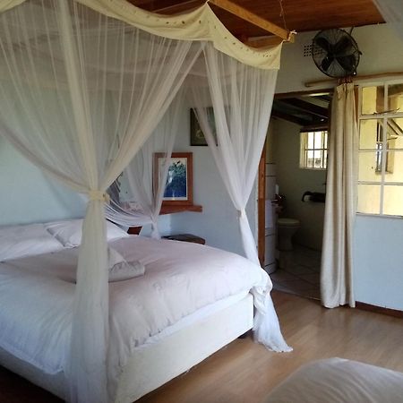 Bushwhacked Barberton Hotell Rum bild